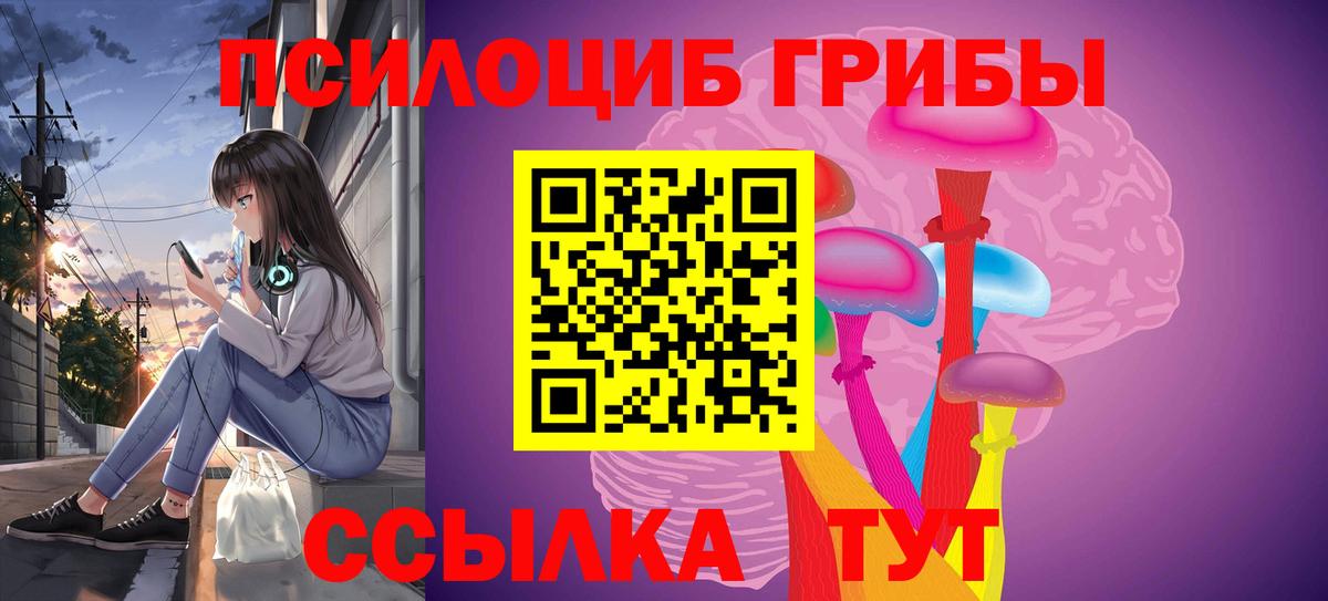 Елизово  Галлюциногенные грибы Cubensis  Галлюциногенные грибы MAGIC MUSHROOMS  Вход с VPN 