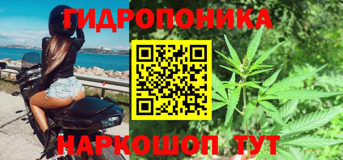 Бошки марихуана White Widow  Марихуана SATIVA & INDICA  Елизово  Вход с VPN  Канабис семена  Шишки марихуана VHQ 